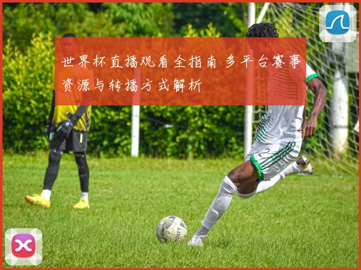 世界杯直播观看全指南 多平台赛事资源与转播方式解析