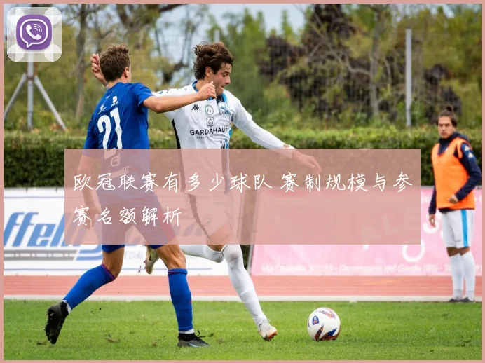 欧冠联赛有多少球队 赛制规模与参赛名额解析
