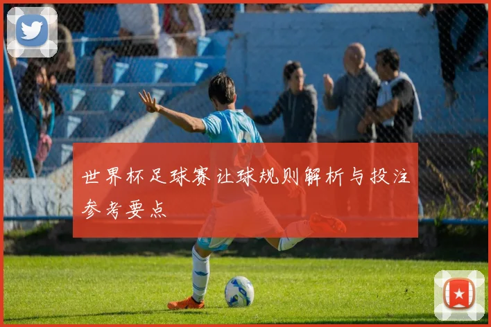 世界杯足球赛让球规则解析与投注参考要点